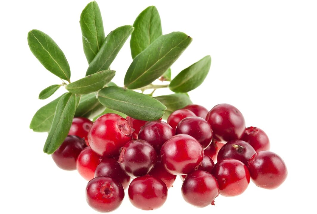 brusnica na liečbu cystitídy